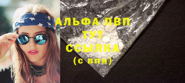 хмурый Белая Холуница