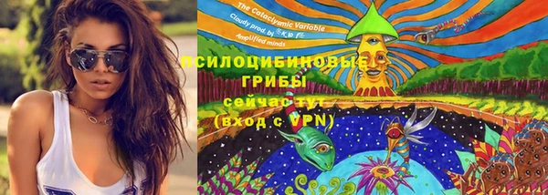 гидра Баксан