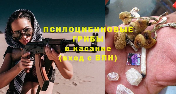 дмт Аркадак